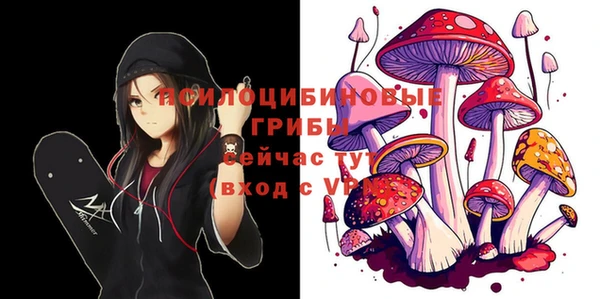 хмурый Баксан