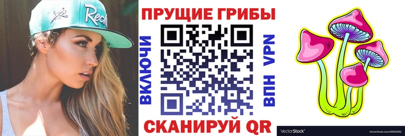 Купить закладки  Удомля  Галлюциногенные грибы Cubensis 